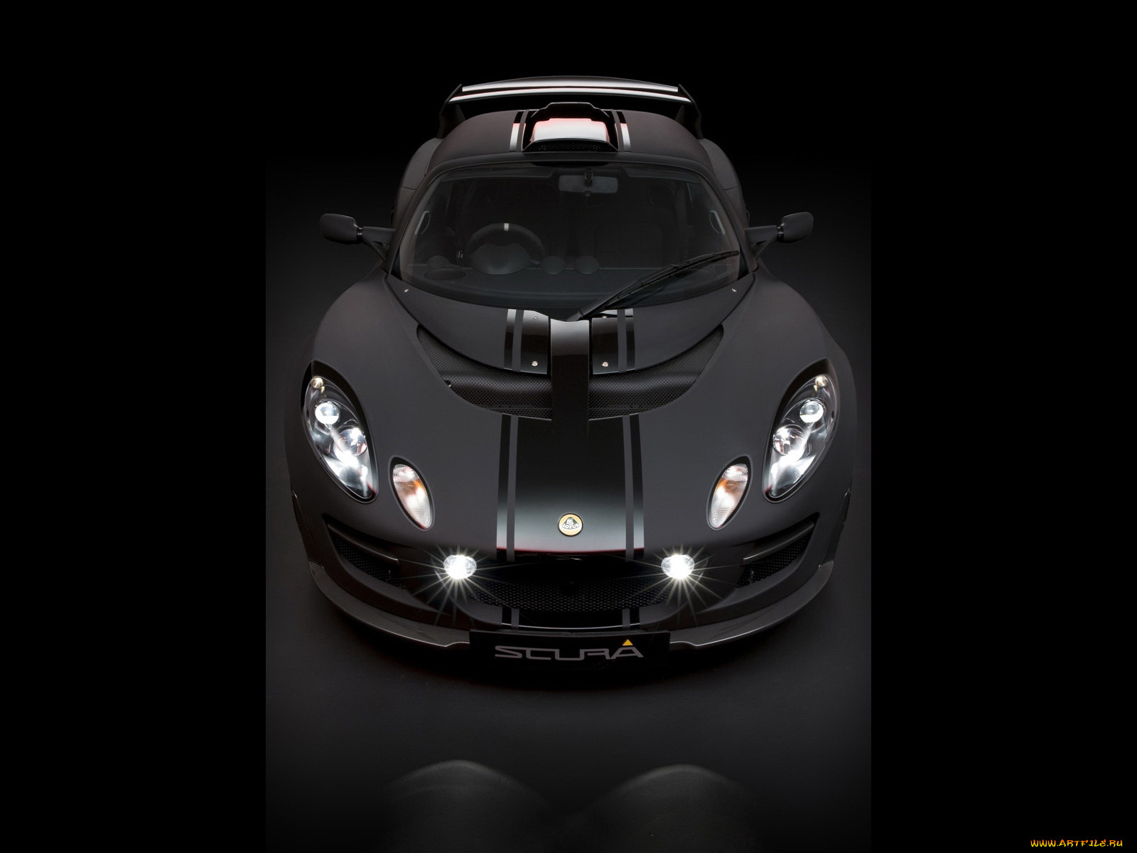 , lotus